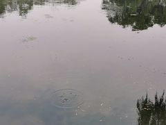 -百脉泉景区