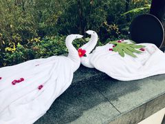 -天目湖涵田半山温泉