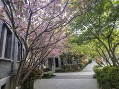 -颐和路民国时期公馆风貌区