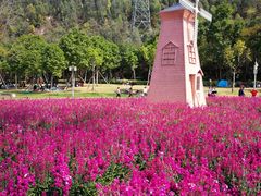 -顺峰山公园