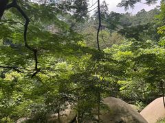 -火炉山森林公园