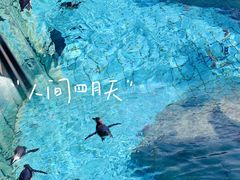 -上海野生动物园
