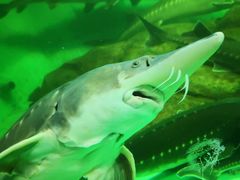 -太平洋海底世界