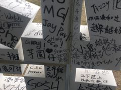 -东方绿舟景区