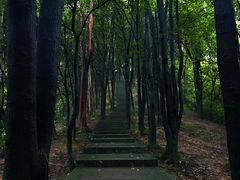 -火炉山森林公园
