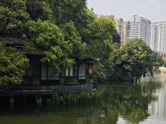-荔湾湖公园