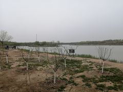 -西青郊野公园