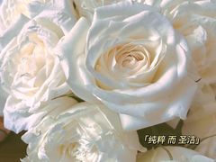 -Flower in(密渡桥店)