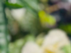 -九月里.自由花园餐厅