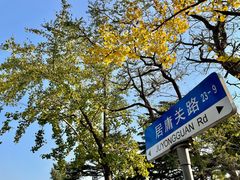 -八大关景区