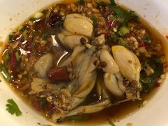 -麻辣巅峰美蛙鱼头火锅(犀浦店)