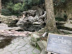-虎跑公园