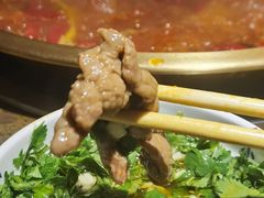 -小龙坎火锅(全球总店)