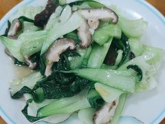 -鹤乡东北菜(崮山路店)