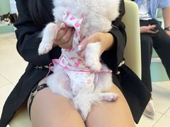 -怪兽屋·羊驼·猫咖·狗咖(俊华广场店)