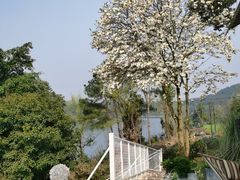 -华凌山庄·隐湖栖