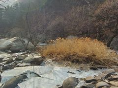 -崂山九水游览区