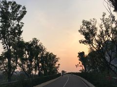 -桂溪生态公园