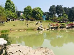 -铁山坪森林公园