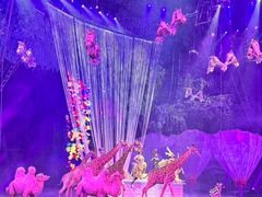 -广州长隆国际大马戏