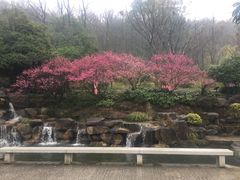 -兰溪地下长河
