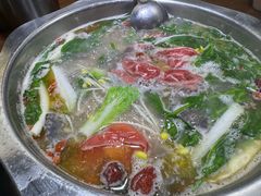 -云鱿记鱿鱼鸡·野生菌火锅(人民南路店)