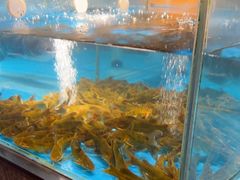 -耕渔小院·湖南鱼鲜(望城店)