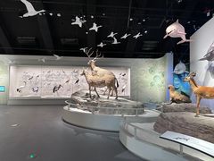 -中国湿地博物馆