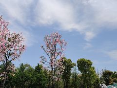 -滴水湖