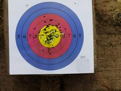 -道顺射箭·团建·骑射(张杨路店)