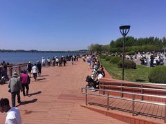 -丁香湖公园