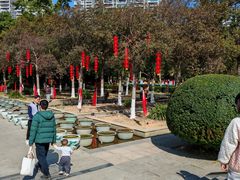 -金山公园