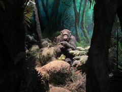 -国家自然博物馆