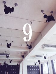 -无界瑜伽普拉提