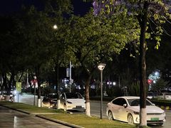 -TESLA 特斯拉(广州天环广场体验店)