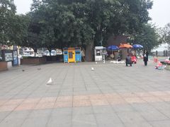 -海棠烟雨公园