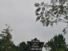 -武汉园博园(武汉自然博物馆)