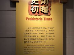 -烟台市博物馆