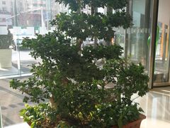 -天津水游城丽筠酒店