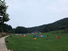 -武陵山森林公园