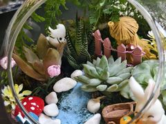 -朝画惜时·陶艺·手作·团建