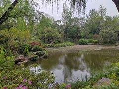 -秋霞圃