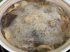 -蘑统田下·野生菌火锅