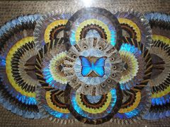 -上海昆虫博物馆