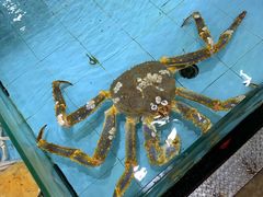 -渔民新村(番禺总店)