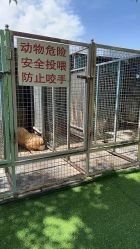 -萌宠亲子动物乐园(槐房万达店)