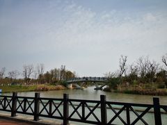 -上海长兴岛郊野公园