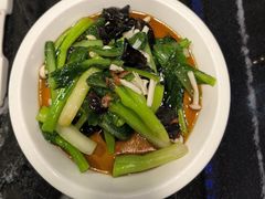 -新白鹿餐厅(百联中环店)