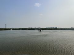 -大兴滨河森林公园