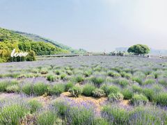 -雪浪山卡丁车俱乐部